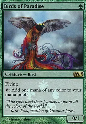 Oiseaux de paradis