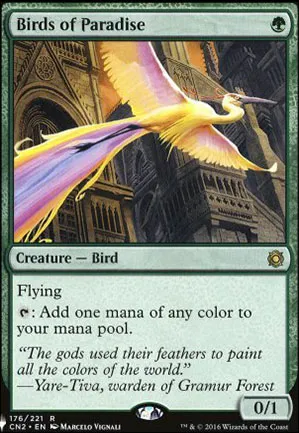 Oiseaux de paradis