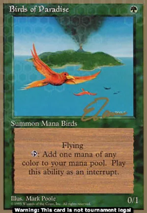 Oiseaux de paradis