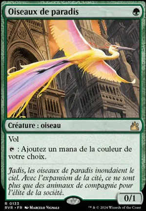 Oiseaux de paradis
