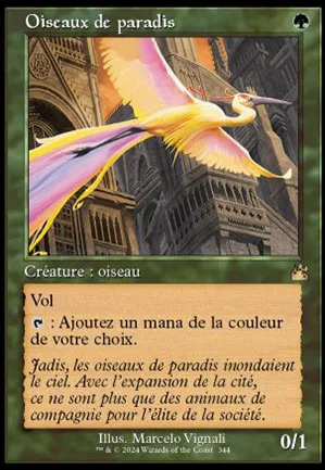 Oiseaux de paradis