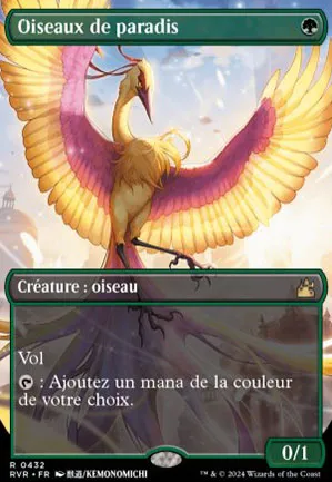 Oiseaux de paradis