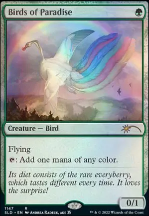 Oiseaux de paradis