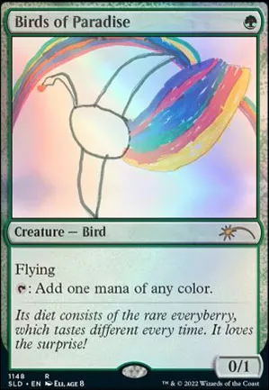 Oiseaux de paradis