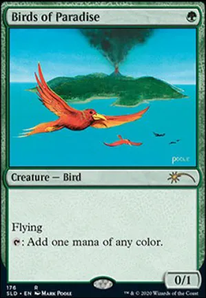 Oiseaux de paradis