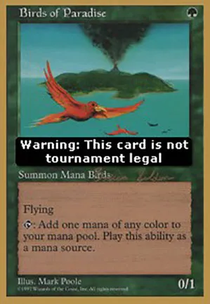 Oiseaux de paradis
