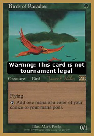 Oiseaux de paradis