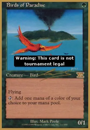 Oiseaux de paradis