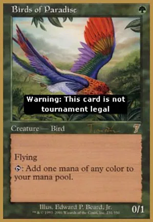 Oiseaux de paradis