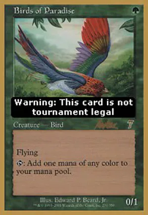 Oiseaux de paradis