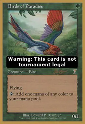 Oiseaux de paradis