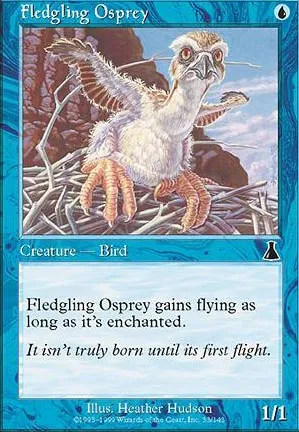 Oisillon Balbuzard