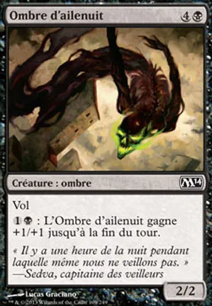 Ombre d'ailenuit