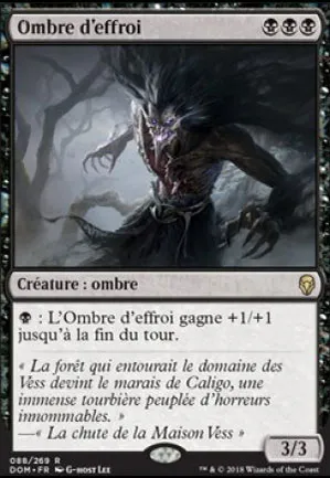 Ombre d'effroi