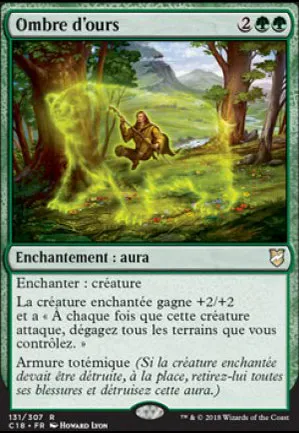 Ombre d'ours