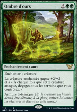 Ombre d'ours