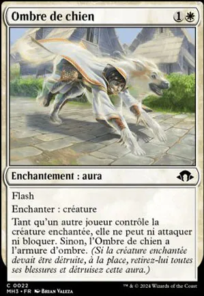 Ombre de chien