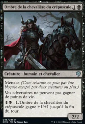 Ombre de la chevalière du crépuscule