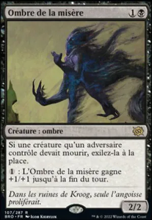 Ombre de la misère