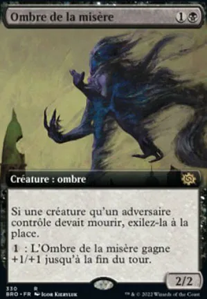 Ombre de la misère