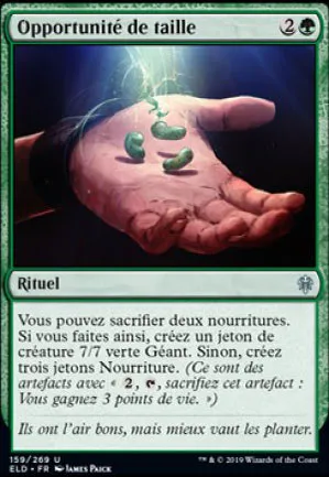 Opportunité de taille