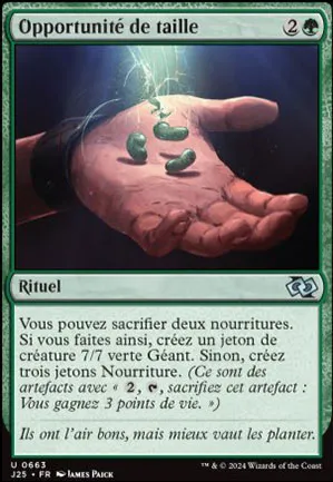 Opportunité de taille
