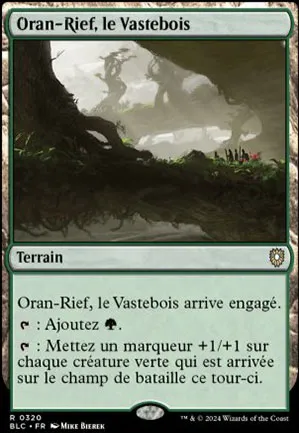 Oran-Rief, le Vastebois