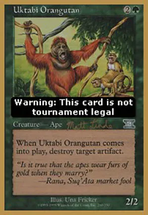 Orang-outang de l'Ouktabi