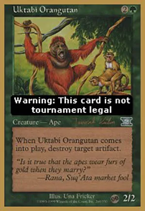Orang-outang de l'Ouktabi