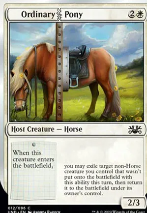 Ordinary Pony