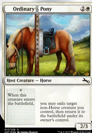 Ordinary Pony