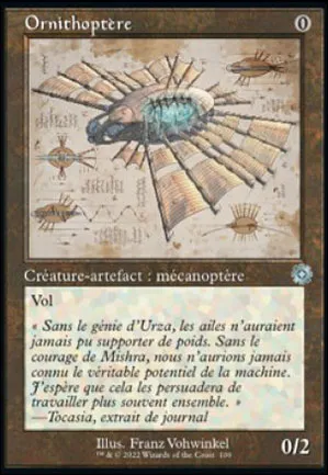 Ornithoptère
