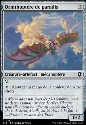 Ornithoptère de paradis