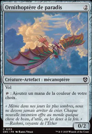 Ornithoptère de paradis