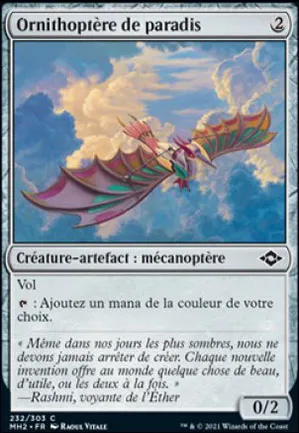 Ornithoptère de paradis