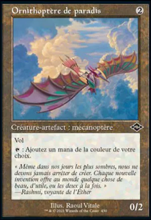Ornithoptère de paradis