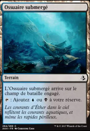 Ossuaire submergé