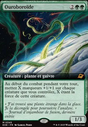 Ouroboroïde