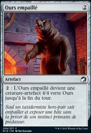 Ours empaillé