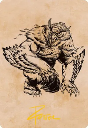 Ours-hibou - Illustration