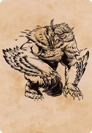 Ours-hibou - Illustration