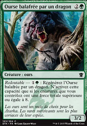 Ourse balafrée par un dragon