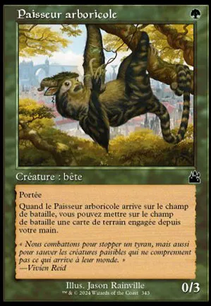 Paisseur arboricole