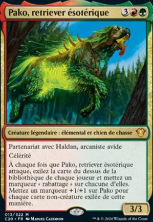 Pako, retriever ésotérique