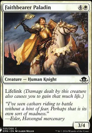 Paladin portefoi