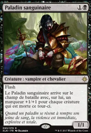Paladin sanguinaire