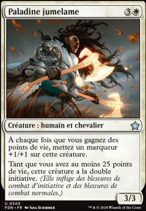 Paladine jumelame