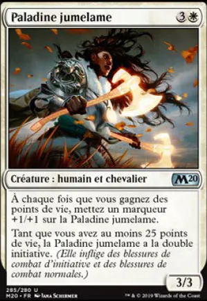 Paladine jumelame