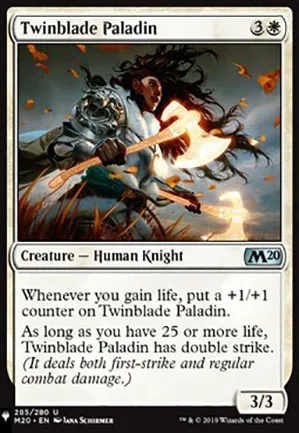 Paladine jumelame