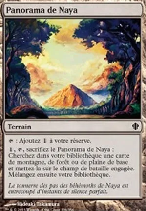 Panorama de Naya